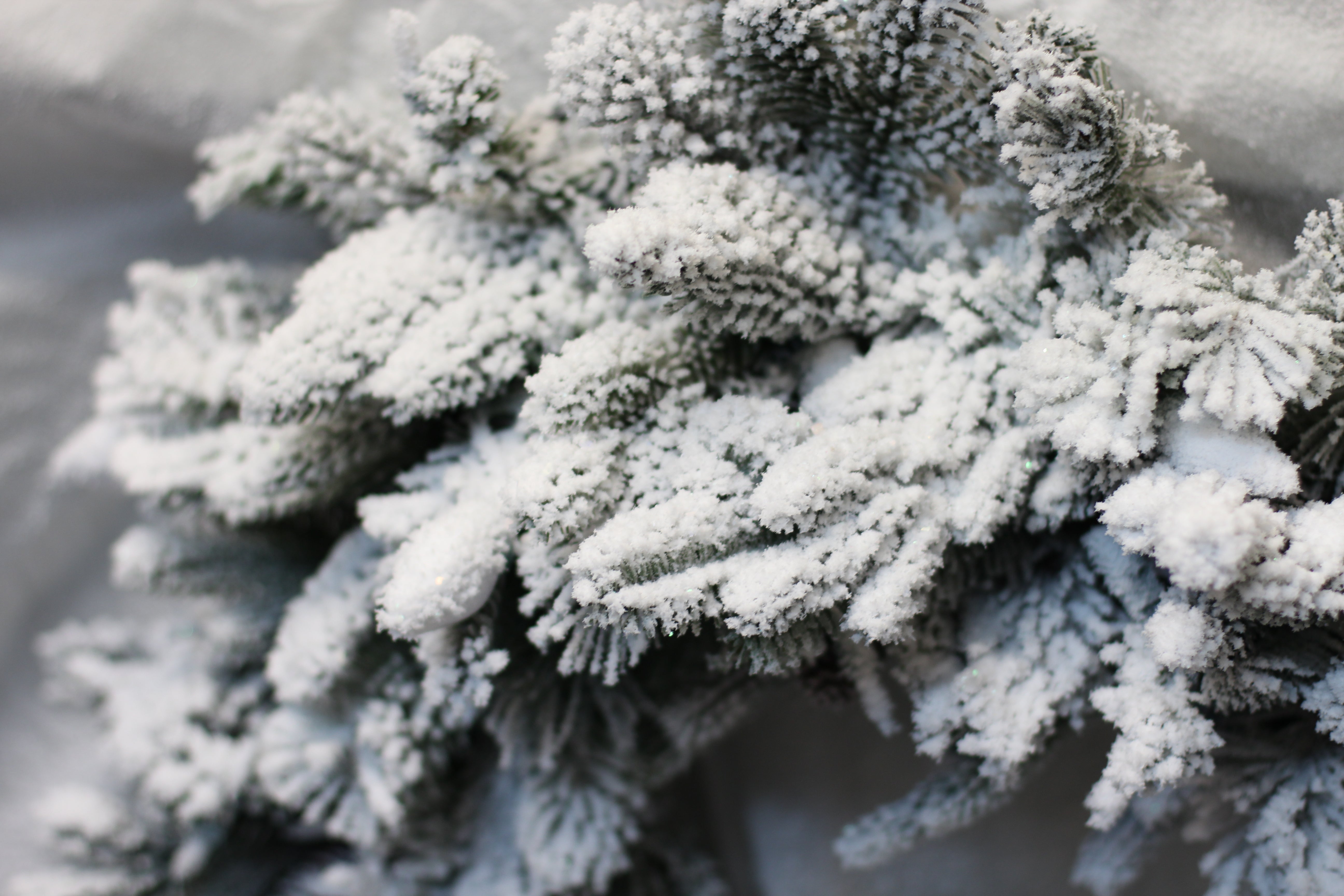 SnoFlock Premium, Genuine Original Snow Flocking Powder — 5 Pound Box [2.27kg] image 1